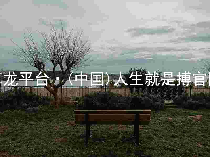 尊龙平台·(中国)人生就是搏官网