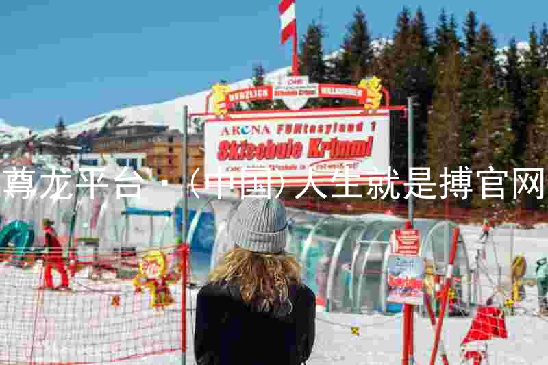 尊龙平台·(中国)人生就是搏官网