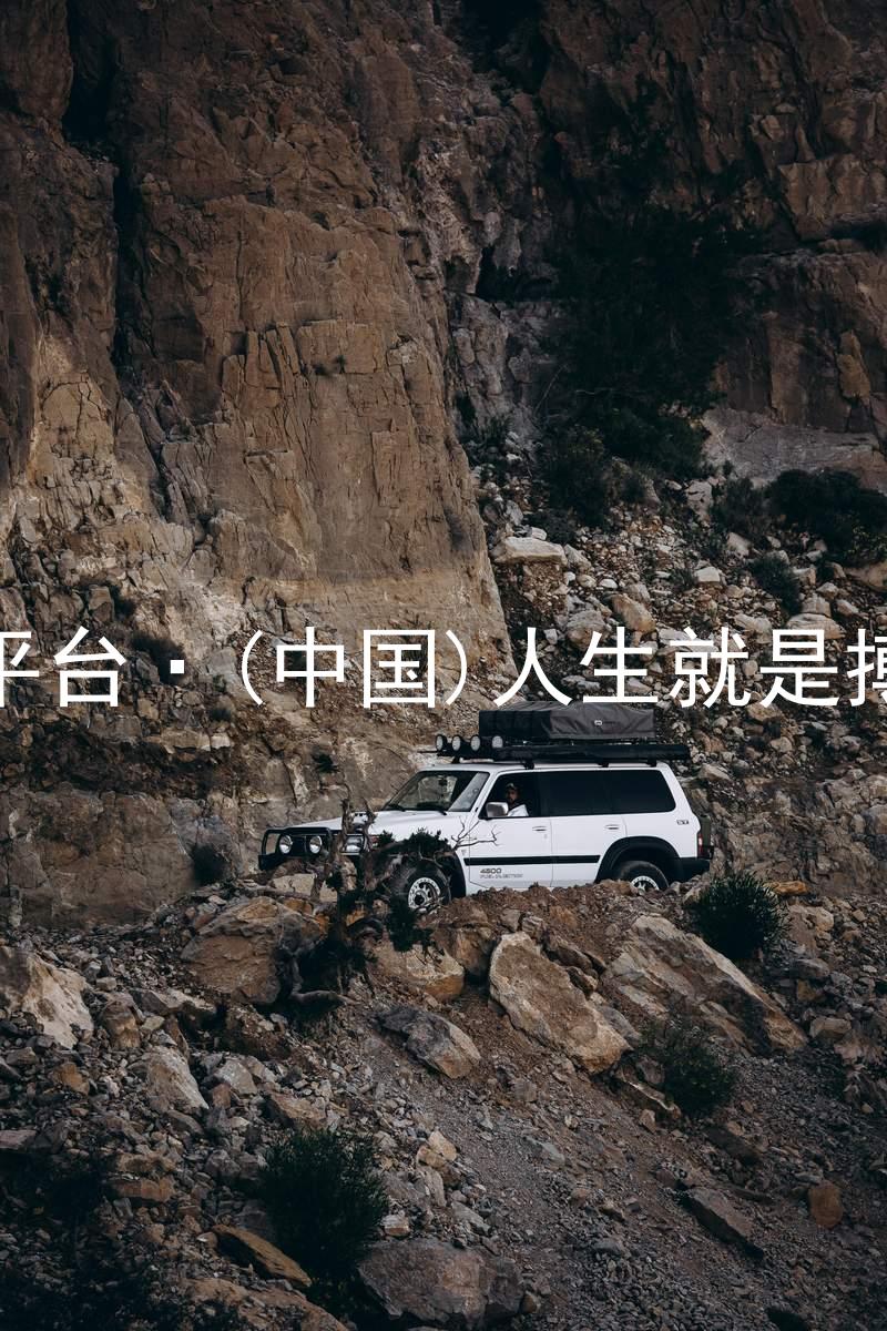 尊龙平台·(中国)人生就是搏官网