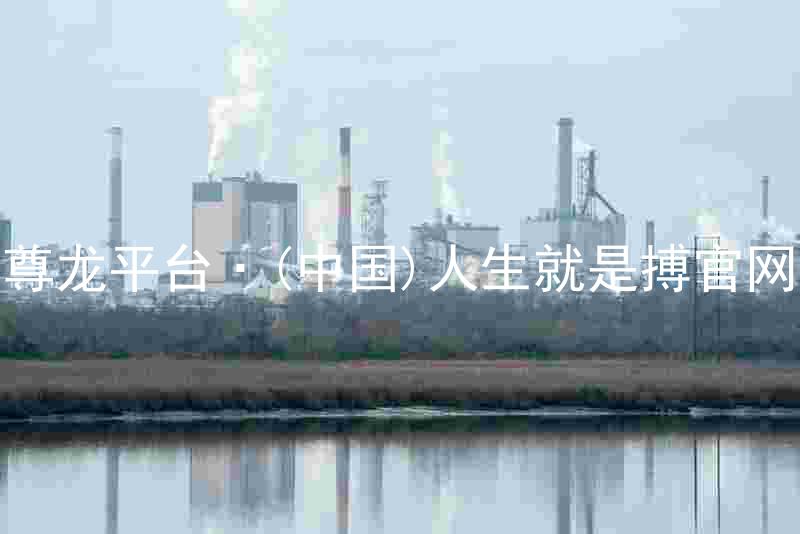 尊龙平台·(中国)人生就是搏官网