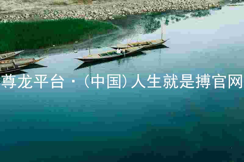 尊龙平台·(中国)人生就是搏官网