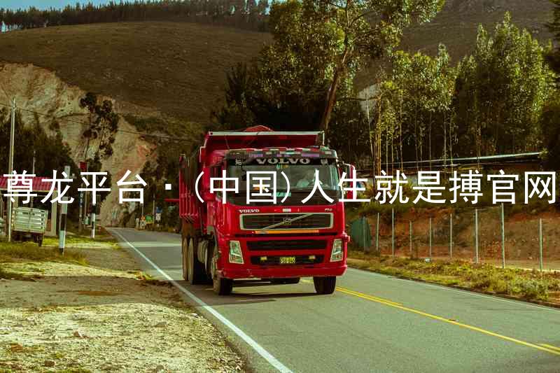 尊龙平台·(中国)人生就是搏官网