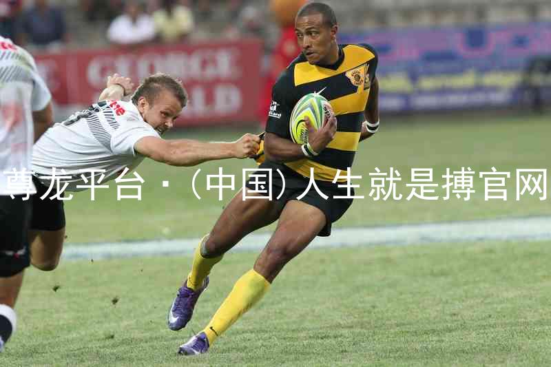 尊龙平台·(中国)人生就是搏官网