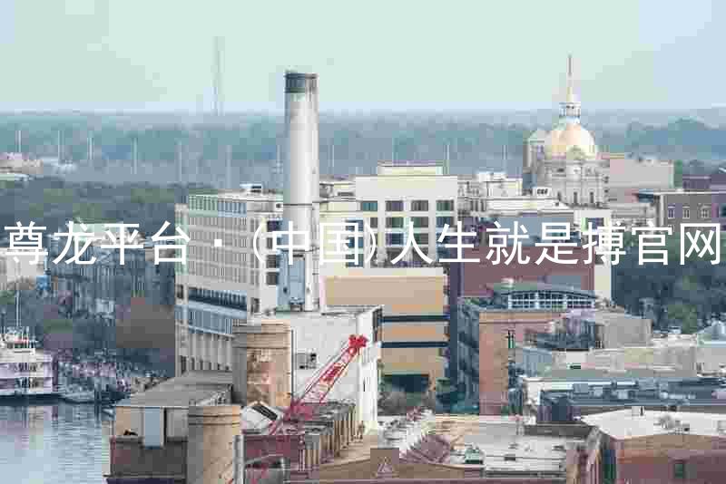 尊龙平台·(中国)人生就是搏官网